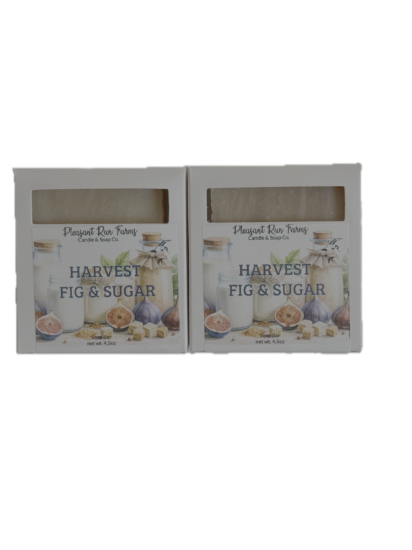 Harvest Fig Soap